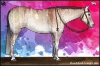 Horse Color:White Spotted Bay Ice Onyx Sabino