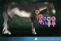 Horse Color:Gray Buckskin Sabino Tobiano