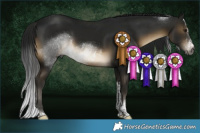 Horse Color:Gray Buckskin Sabino Tobiano 