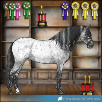 Horse Color:Blue Roan Blanket 