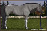 Horse Color:Grullo Roan Tobiano 