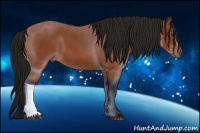 Horse Color:Gray Bay