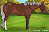 Horse Color:Silver Brown 