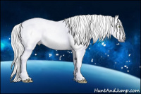Horse Color:Gray Watercolor Gold Champagne Roan Dun