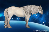 Horse Color:Gray Silver Amber Champagne Dun