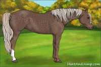 Horse Color:Silver Black 
