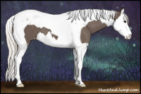 Horse Color:Silver Black Splash Tobiano Appaloosa 