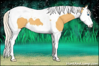 Horse Color:Silver Buckskin Splash Tobiano Appaloosa 