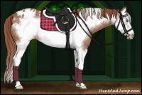 Horse Color:Chestnut Sabino Splash Frame Appaloosa Rabicano 