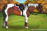 Horse Color:Brown Tobiano Blanket 