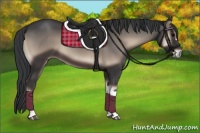 Horse Color:Blue Onyx 