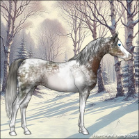 Horse Color:White Spotted Liver Chestnut Ice Mushroom Splash Tobiano 
