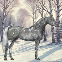 Horse Color:White Spotted Silver Black Chinchilla Ice 