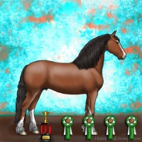 Horse Color:Bay Sabino 