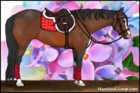 Horse Color:Bay Sabino 