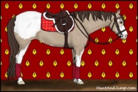 Horse Color:Liver Red Dun Sabino Appaloosa 