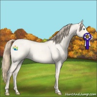 Horse Color:Perlino Roan Dun
