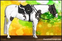 Horse Color:White Spotted Smoky Black Tobiano 