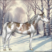 Horse Color:White Spotted Liver Chestnut Mushroom Splash 