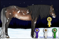 Horse Color:White Spotted Brown Sabino 