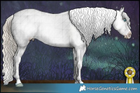 Horse Color:White Spotted Chocolate Palomino Pearl Appaloosa