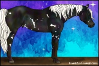 Horse Color:White Spotted Midnight Liver Chestnut Mushroom Rabicano 