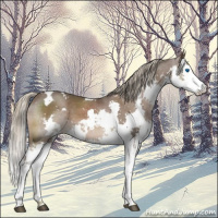 Horse Color:White Spotted Liver Chestnut Mushroom Splash 