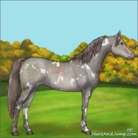 Horse Color:Platinum White Spotted Liver Red Dun