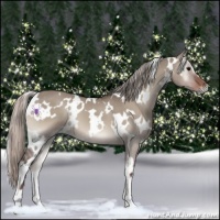 Horse Color:White Spotted Silver Grullo Onyx 
