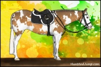 Horse Color:White Spotted Silver Buckskin Splash 