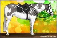 Horse Color:White Spotted Smoky Blue Roan Splash