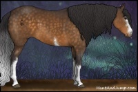 Horse Color:White Spotted Buckskin 