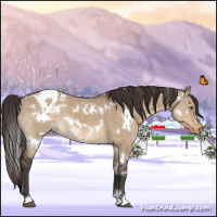 Horse Color:White Spotted Brown Dun Varnish Brindle 