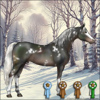 Horse Color:White Spotted Liver Chestnut Mushroom 
