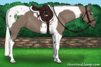 Horse Color:Silver Black Tobiano 