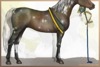 Horse Color:White Spotted Liver Chestnut 