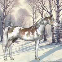 Horse Color:White Spotted Liver Chestnut Mushroom Splash 