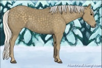 Horse Color:Silver Smoky Black 