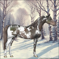 Horse Color:Platinum White Spotted Liver Chestnut 