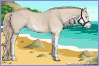 Horse Color:Cremello Sabino  and Perlino Sabino