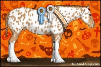 Horse Color:Chestnut Appaloosa