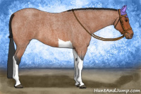 Horse Color:Bay Roan Tobiano 