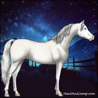 Horse Color:Cremello Sabino  and Cremello Dun Sabino 