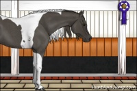 Horse Color:Smoky Blue Roan Tobiano 