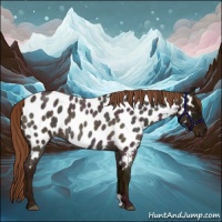 Horse Color:Midnight Red Roan Near Leopard Rabicano 