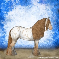 Horse Color:Red Dun Near Leopard