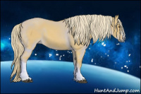 Horse Color:Gray Palomino Dun