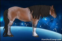 Horse Color:Gray Bay 