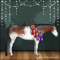 Horse Color:White Spotted Brown 