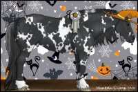 Horse Color:White Spotted Black 